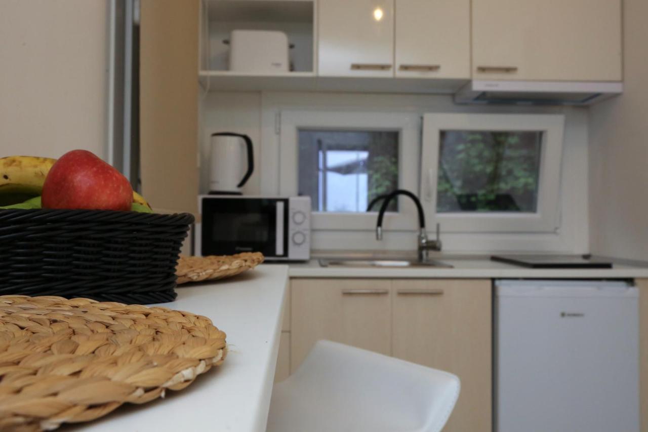 Steleni Seaside Apartments Nea Iraklitsa Bagian luar foto